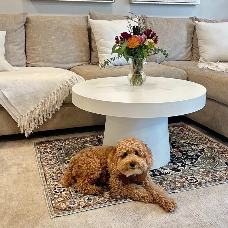 Washable Dog Pee Pads